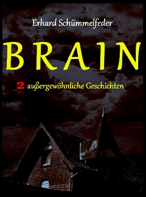 Erhard Schümmelfeder: BRAIN