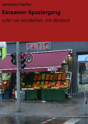  winterschlaefer: Einsamer Spaziergang