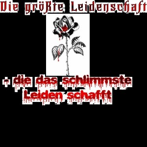 Juliet Hikari: Die größte Leidenschaft - die das schlimmste Leiden schafft