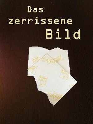 Sharon Lee: Das zerrissene Bild