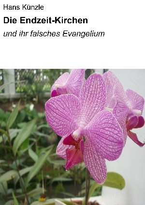 Hans Künzle: Die Endzeit-Kirchen