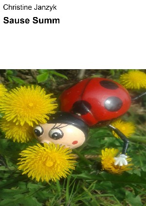 Christine Janzyk: Sause Summ