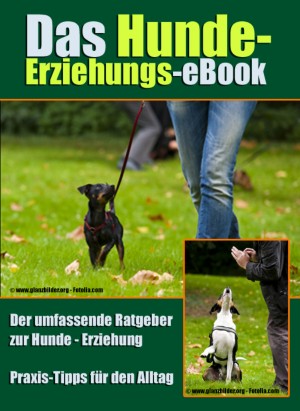 Robert Zimmermann: Das Hunde-Erziehungs-eBook
