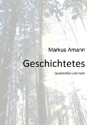 Markus Amann: Geschichtetes
