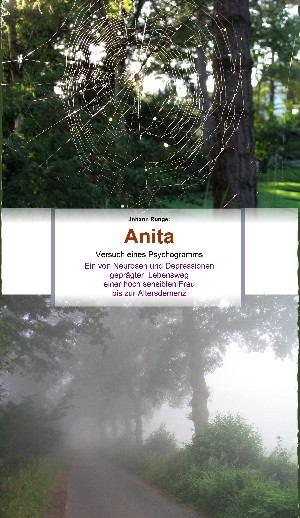 Johann Runge: Anita - Ein von Neurosen und Depressionen geprägter Lebensweg einer hoch sensiblen Frau bis zur Altersdemenz