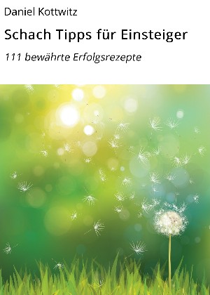 Daniel Kottwitz: Schach Tipps für Einsteiger