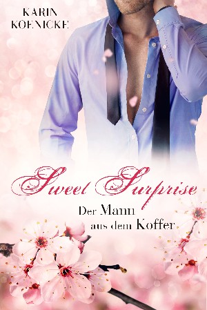 Karin Koenicke: Sweet Surprise - Der Mann aus dem Koffer