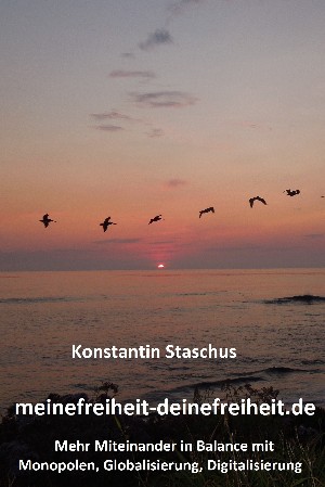 Konstantin Staschus: meinefreiheit-deinefreiheit.de