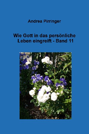 Andrea Pirringer: Wie Gott in das persönliche Leben eingreift - Band 11