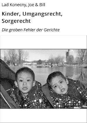 Lad Konecny, Joe & Bill: Kinder, Umgangsrecht, Sorgerecht